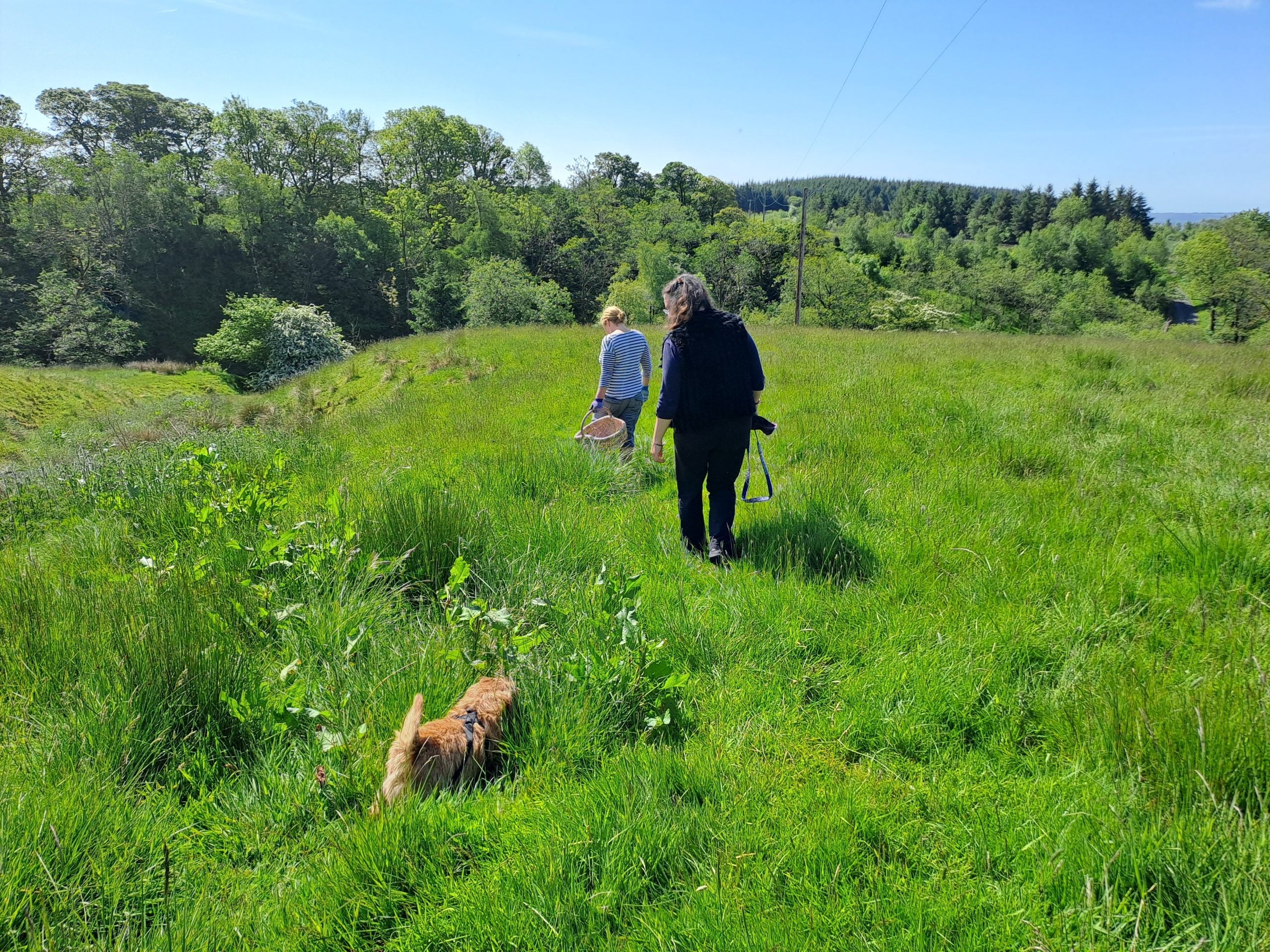 Wild Cooking Experiences