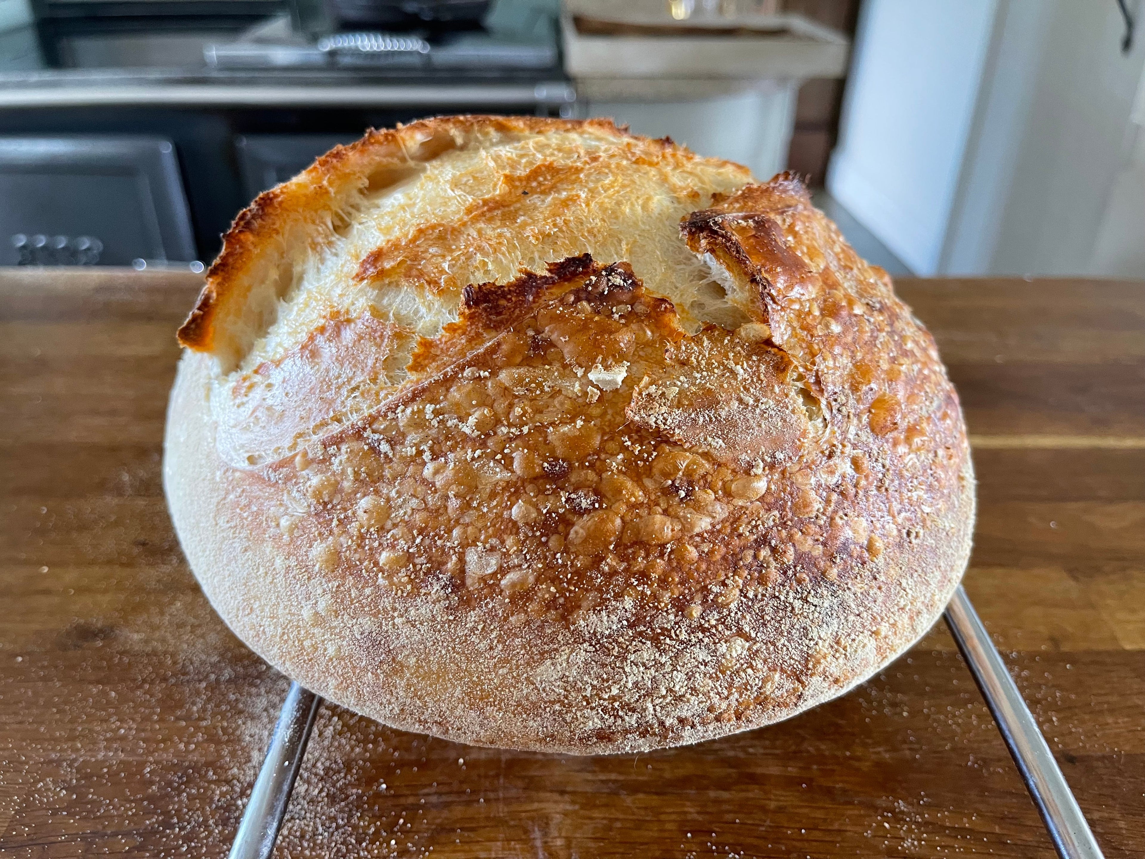 Breadmaking Courses