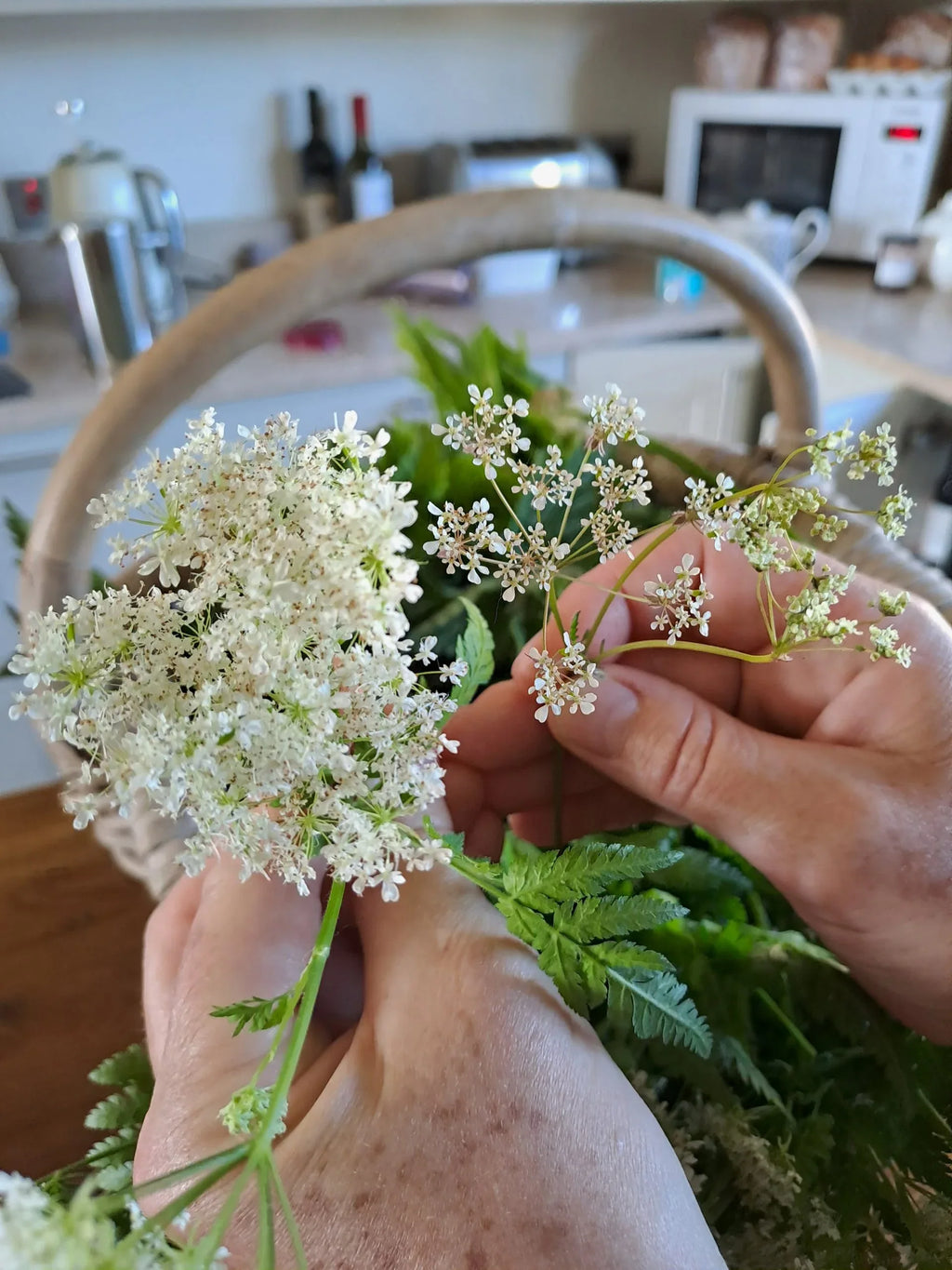 Cooking with Wild & Foraged Ingredients - Dominique's Kitchen