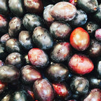 Cooking with Wild & Foraged Ingredients - Dominique's Kitchen
