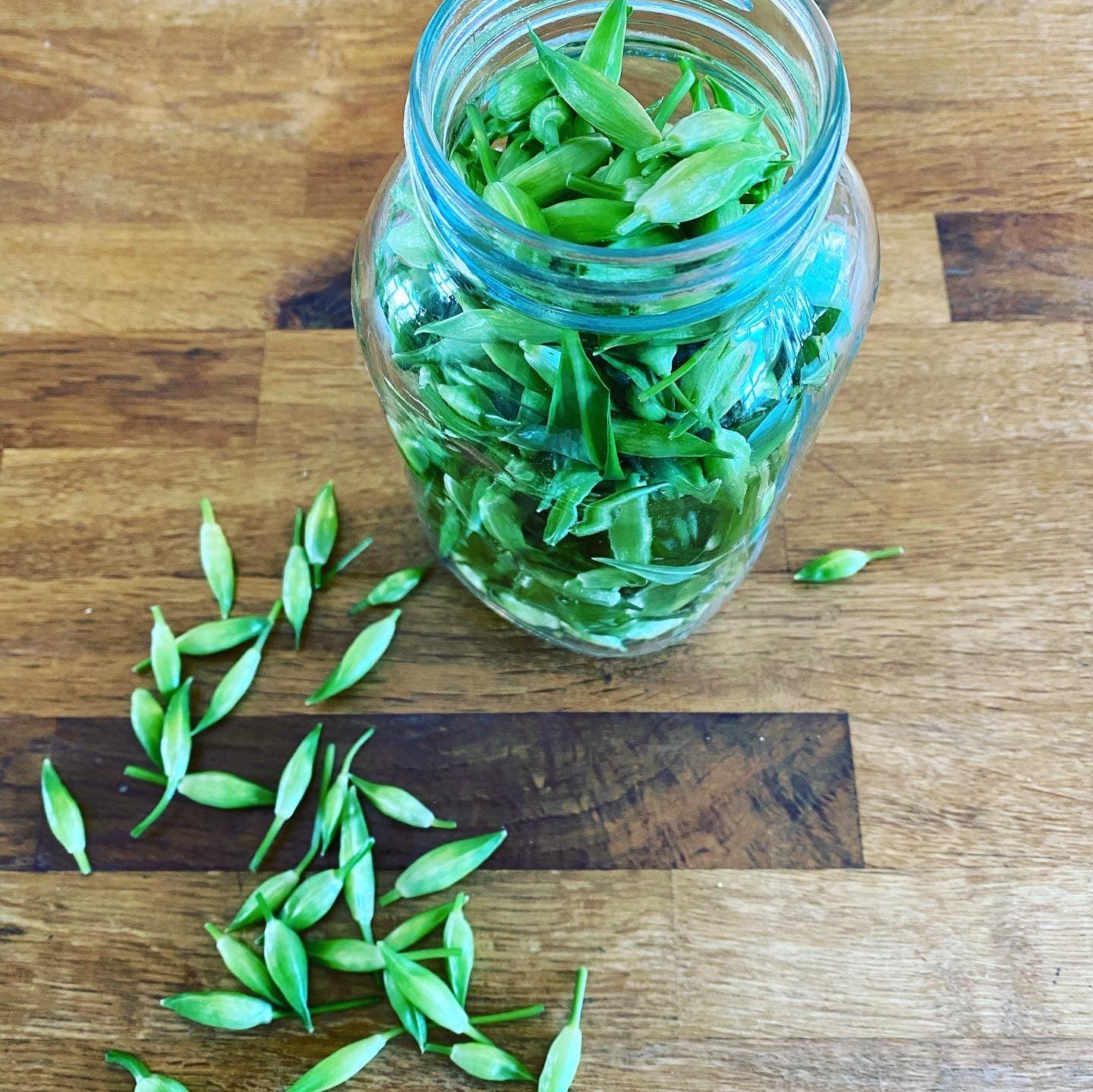 Cooking with Wild & Foraged Ingredients - Dominique's Kitchen