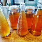 Cooking with Wild & Foraged Ingredients - Dominique's Kitchen
