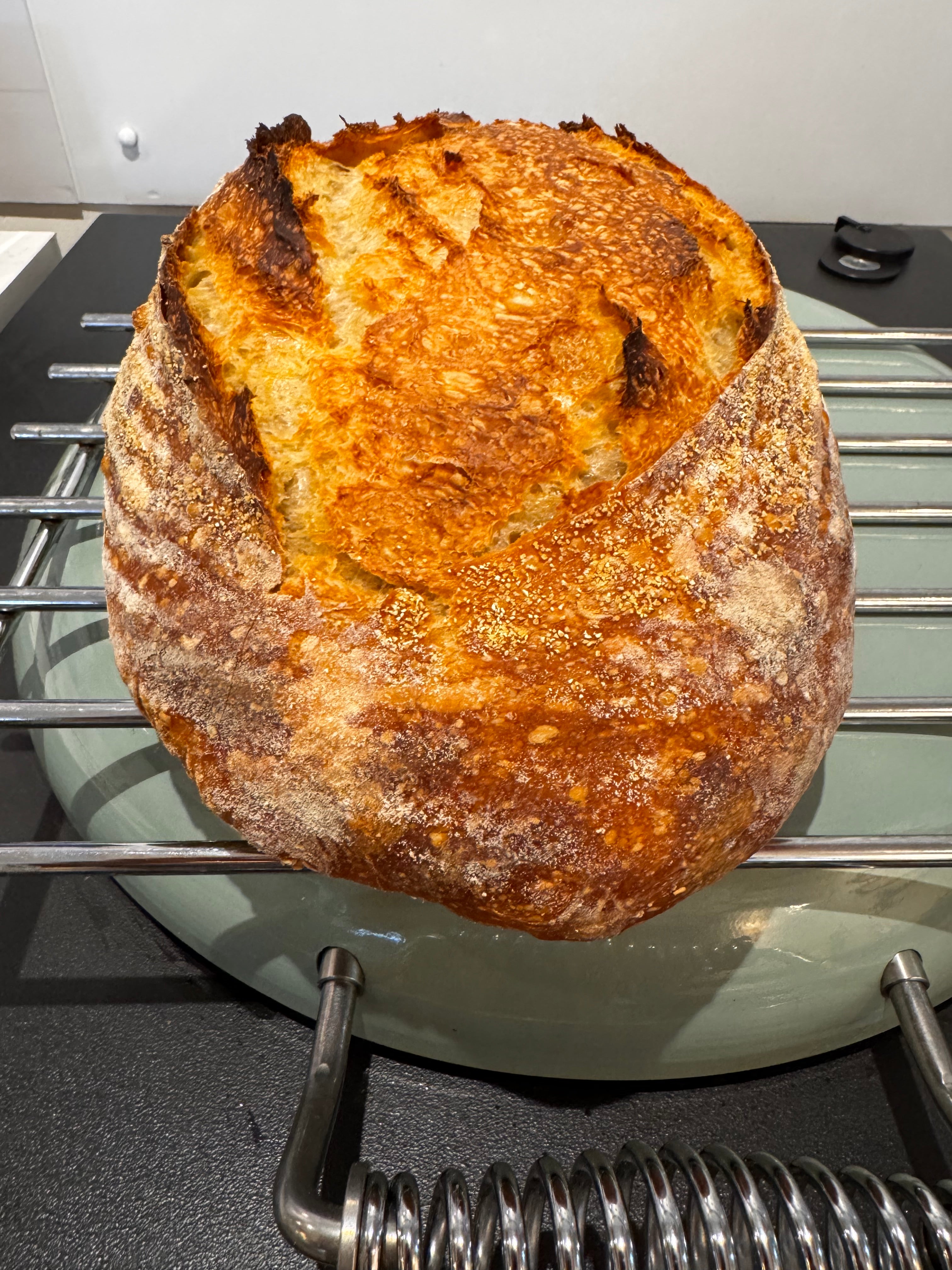Sourdough and Slow Proof Baking