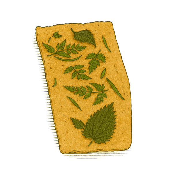 Nettle Crackers