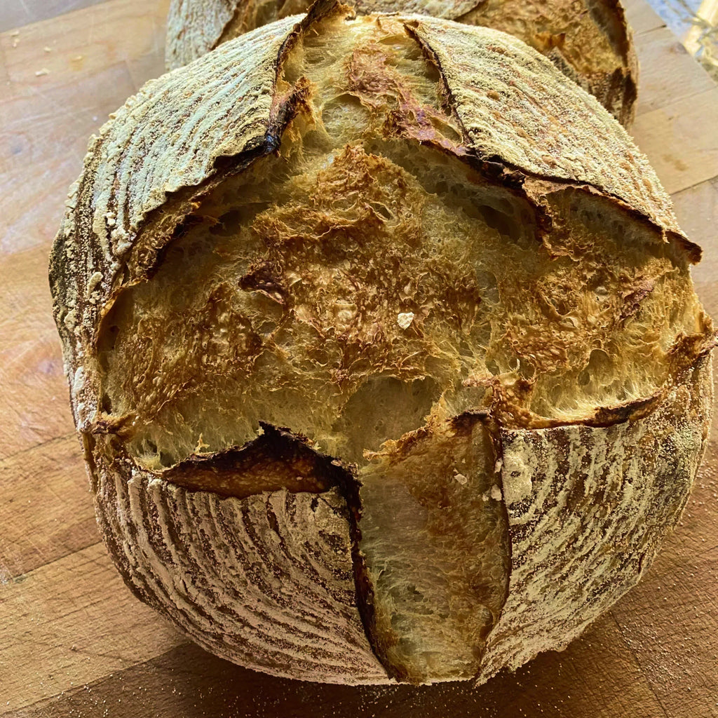 Sourdough and Slow Proof Baking - Dominique's Kitchen