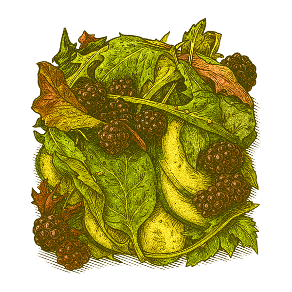 Pickled Blackberry & Foraged Leaf Salad