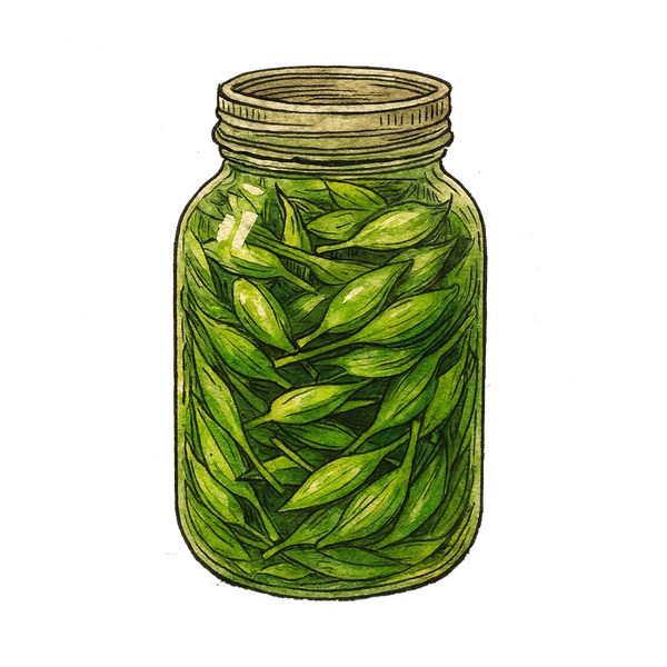 Pickled Buds or Berries